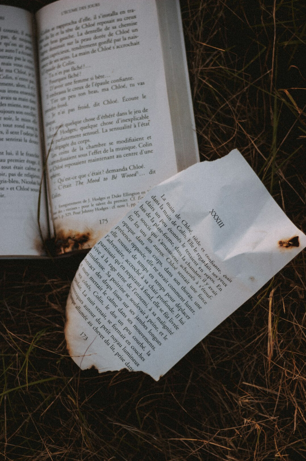 open book pages